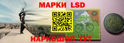 молекула духа Будённовск