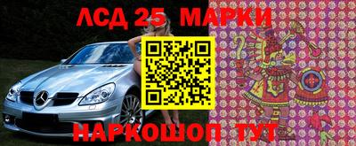 молекула духа Будённовск