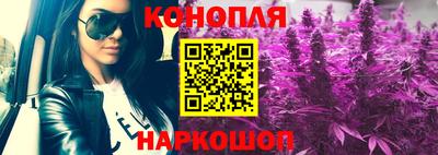 молекула духа Будённовск