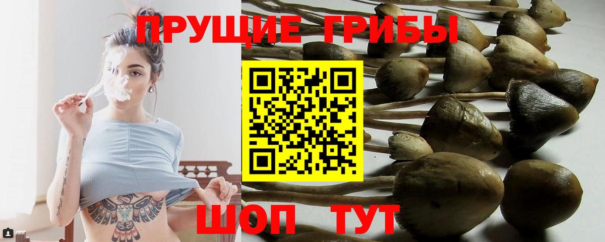 Галлюциногенные грибы прущие грибы Снежинск